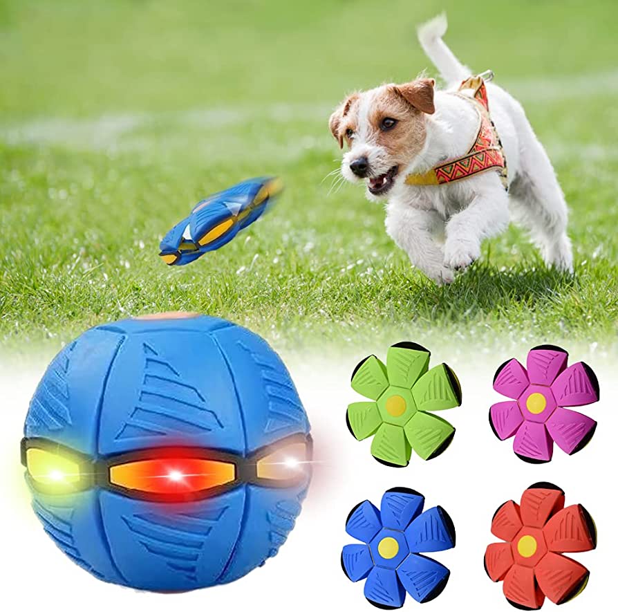 Purrvex™ Dog Frisbee