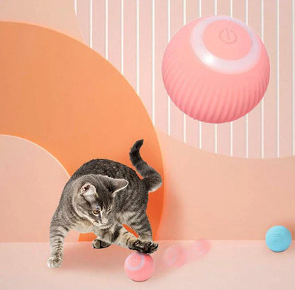 Purrvex™ Interactive Ball