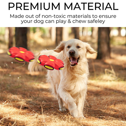 Purrvex™ Dog Frisbee