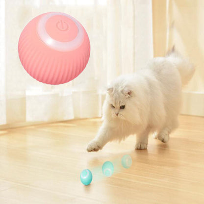 Purrvex™ Interactive Ball